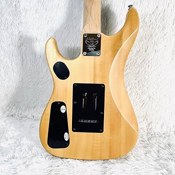 Amazon.co.jp: Washburn N1 PRO ヌーノ ベッテンコートモデル